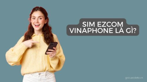 sim-ezcom-vinaphone-la-gi-chi-tiet