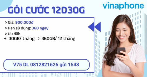 12d30g-vinaphone-nhan-360gb-suot-1-nam