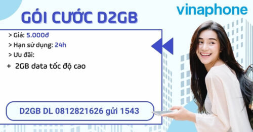 d2gb-vinaphone-uu-dai-2gb-ngay-chi-5-000d