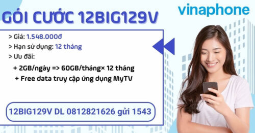 12big129v-vinaphone-nhan-720gb-suot-1-nam