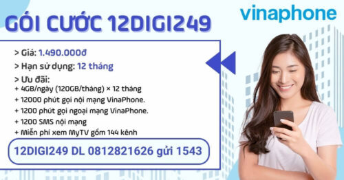 12digi249-vinaphone-4gb-ngay-free-goi-suot-nam